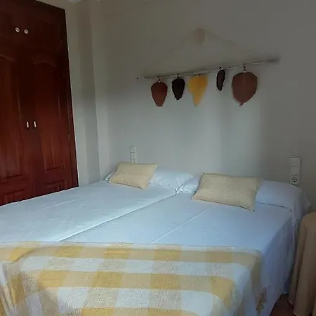 Casa Camelias アパート *